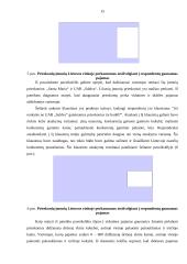 Praktikos ataskaita: prieskonių perdirbimo įmonė UAB "Saldva" 15 puslapis