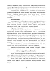 Praktikos ataskaita: restoranas "Čili kaimas" 12 puslapis