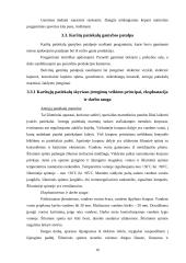 Praktikos ataskaita: restoranas "Čili kaimas" 15 puslapis