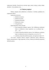 Praktikos ataskaita: restoranas "Čili kaimas" 16 puslapis