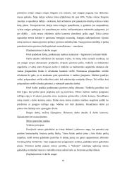 Praktikos ataskaita: restoranas "Čili kaimas" 9 puslapis