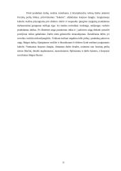 Praktikos ataskaita: restoranas "Čili kaimas" 10 puslapis