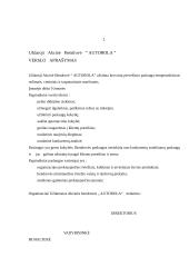 Praktinė ataskaita: UAB "Autorola". Tarptautinis krovinių vežimas 2 puslapis