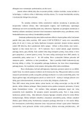 Praktinė ataskaita: UAB "Autorola". Tarptautinis krovinių vežimas 5 puslapis