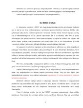 Profesinė praktika: UAB "Slapto pirkėjo tyrimai" 17 puslapis