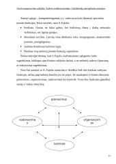 Verslo organizavimo praktika: paslaugų tiekimas UAB "Forum Palace" 11 puslapis