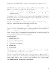 Verslo organizavimo praktika: paslaugų tiekimas UAB "Forum Palace" 4 puslapis