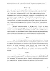 Verslo organizavimo praktika: paslaugų tiekimas UAB "Forum Palace" 5 puslapis