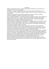 Laisvalaikis 1 puslapis