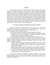 Aplaidžios ir apgaulingos apskaitos samprata 3 puslapis