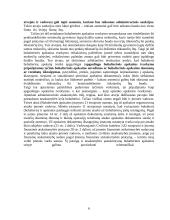 Aplaidžios ir apgaulingos apskaitos samprata 6 puslapis