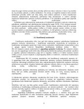Aplaidžios ir apgaulingos apskaitos samprata 8 puslapis