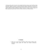 Aplaidžios ir apgaulingos apskaitos samprata 10 puslapis