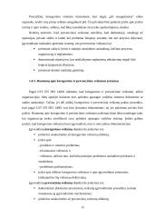 Aplinkos apsaugos vadybos sistema 13 puslapis