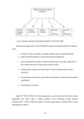 Aplinkos apsaugos vadybos sistema 8 puslapis