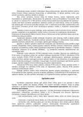 Apskaita individualioje įmonėje 2 puslapis