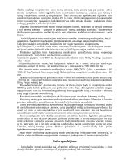 Apskaita individualioje įmonėje 12 puslapis