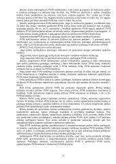 Apskaita individualioje įmonėje 17 puslapis