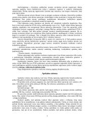 Apskaita individualioje įmonėje 3 puslapis