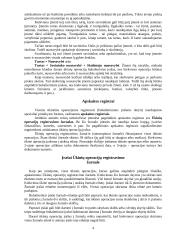 Apskaita individualioje įmonėje 4 puslapis
