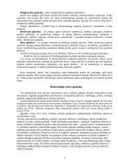 Apskaita individualioje įmonėje 5 puslapis