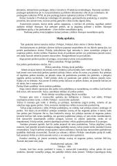 Apskaita individualioje įmonėje 6 puslapis