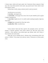 Baltoji ir dygioji eglės 4 puslapis
