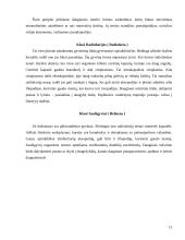 Bestuburių zoologija. Pirmuonys (protozoa) 13 puslapis