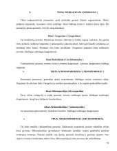 Bestuburių zoologija. Pirmuonys (protozoa) 18 puslapis