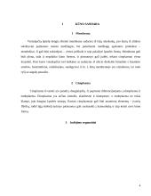Bestuburių zoologija. Pirmuonys (protozoa) 4 puslapis