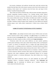 Darbo sutarties pasibaigimas 3 puslapis