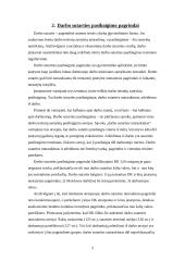 Darbuotojo darbo sutarties pasibaigimas 2 puslapis