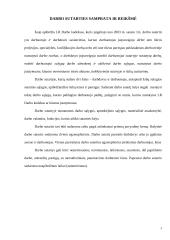 Darbo sutarties svarba 3 puslapis