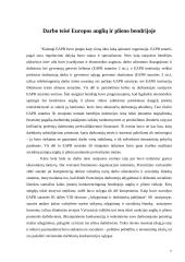 Darbo teisė Europos anglių ir plieno bendrijoje ir Euroatome 7 puslapis