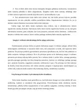 Darbo teisės sąvoka ir uždaviniai 4 puslapis