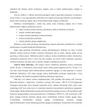 Darbo teisės subjektų lygybė 11 puslapis