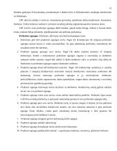 Darbo teisės subjektų lygybė 12 puslapis