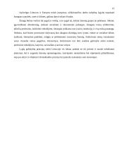 Darbo teisės subjektų lygybė 15 puslapis