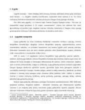 Darbo teisės subjektų lygybė 3 puslapis