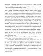 Darbo teisės subjektų lygybė 6 puslapis