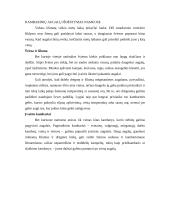 Gėlių įtaka žmogaus organizmui 3 puslapis