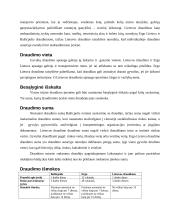 Gyvulių draudimas įmonėse ''Baltikpolis'', ''ERGO'' ir ''Lietuvos draudimas''. Palyginimas 8 puslapis