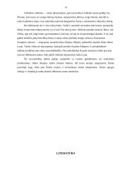 Globalinės oro užterštumo problemos 13 puslapis