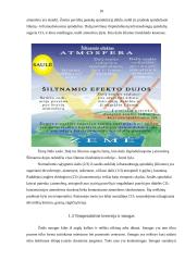 Globalinės oro užterštumo problemos 10 puslapis