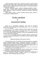 Grybų karalystės paplitimas gamtoje 3 puslapis