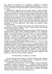 Grybų karalystės paplitimas gamtoje 5 puslapis