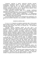 Grybų karalystės paplitimas gamtoje 6 puslapis