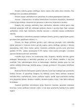 Grybų panaudojimas 11 puslapis