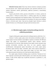 Grybų panaudojimas 10 puslapis