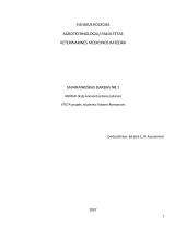 Grūdai kaip konventuotasis pašaras